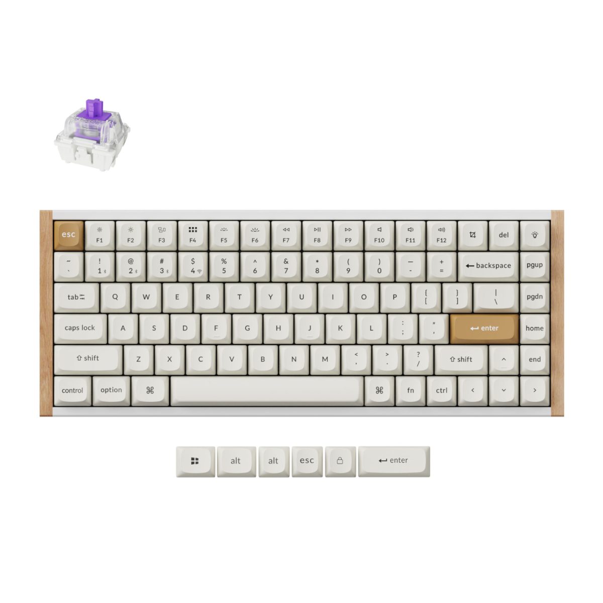 2504202669ec0f2caad55.jpeg Keychron K2 HE Wireless Special Edition