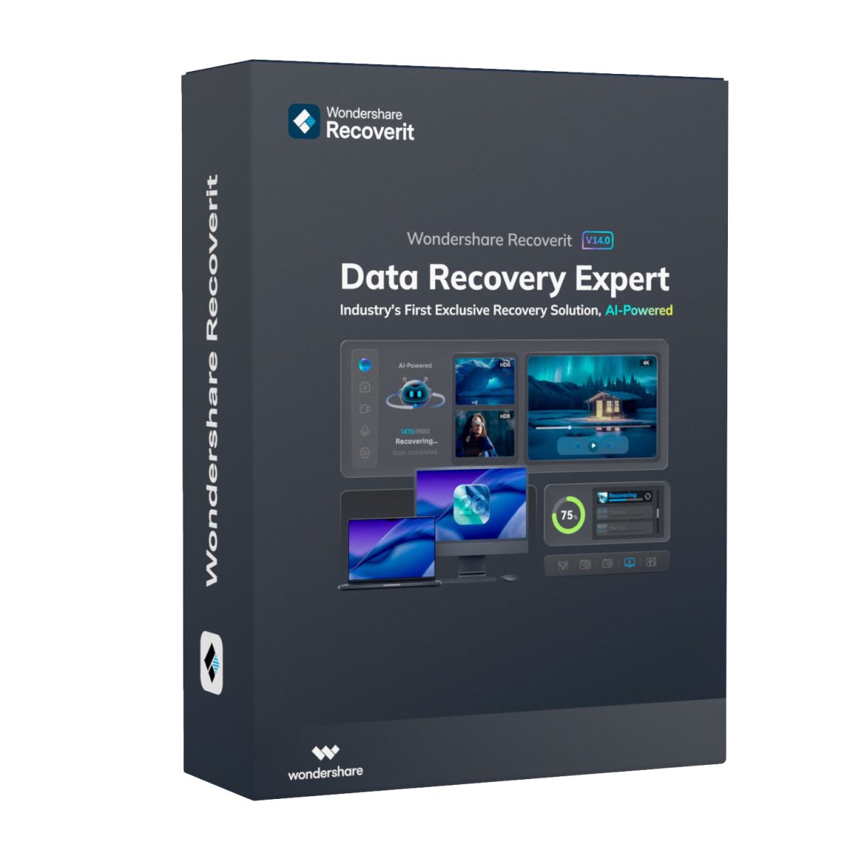 Wondershare Recoverit Data Recovery Expert for Windows Individual (Digital Annual License) - Image 1